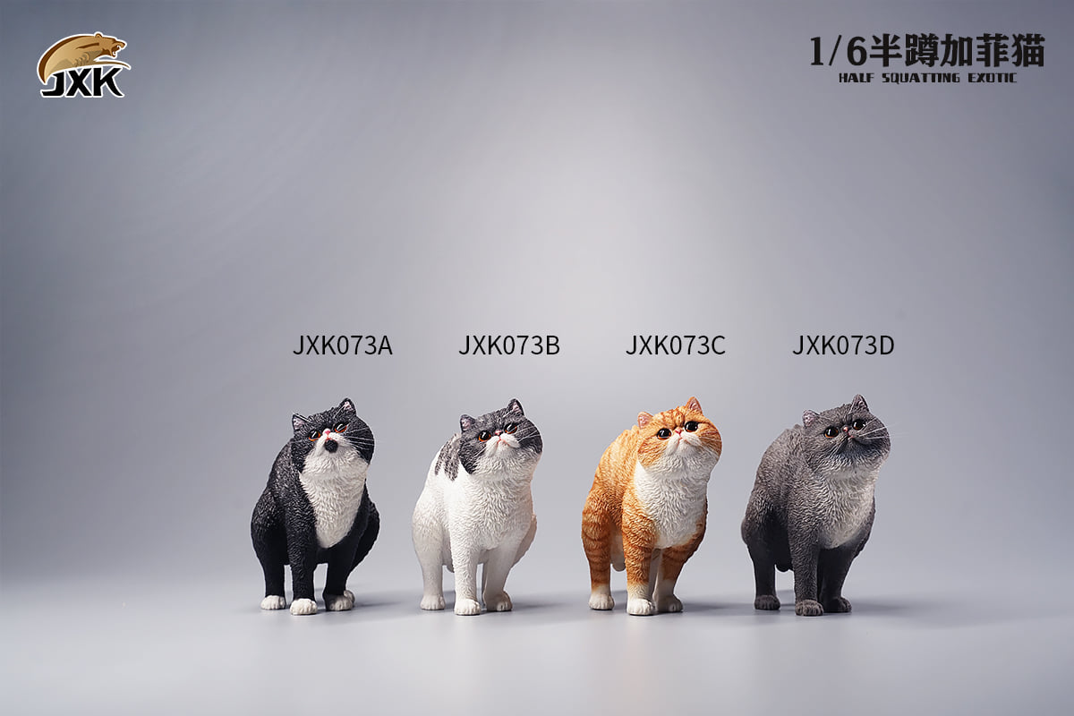 [สั่งจอง]JXK JXK073 ABCD 1/6 : Half squatting ExoticShorthair