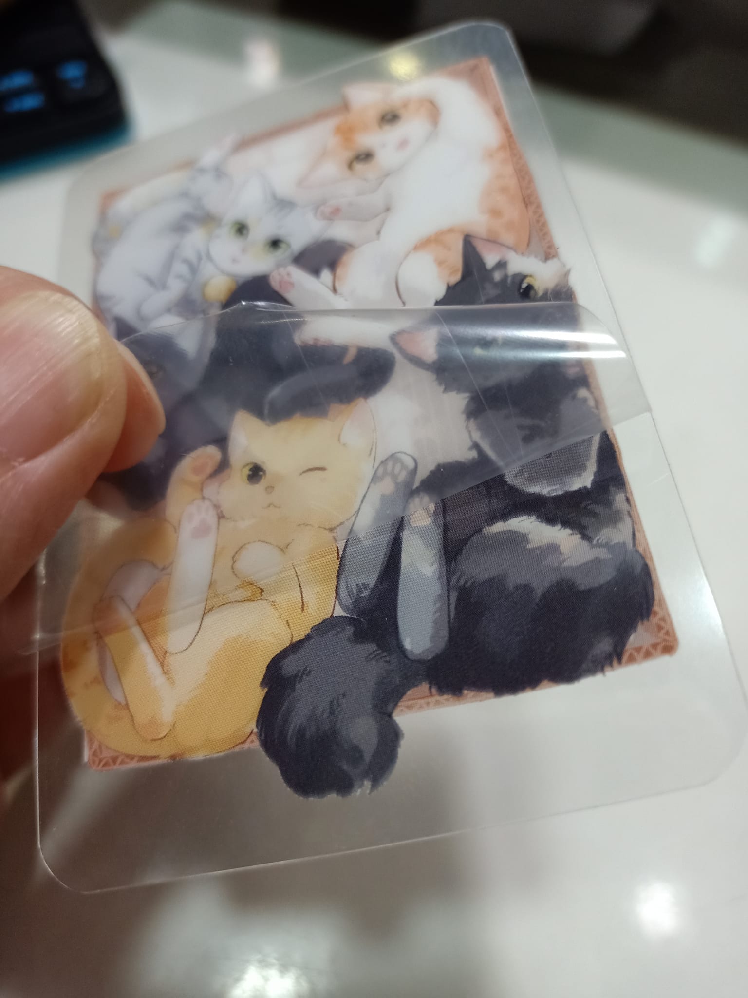 โปสการ์ด + การ์ดใส นักวาดของแมว2024