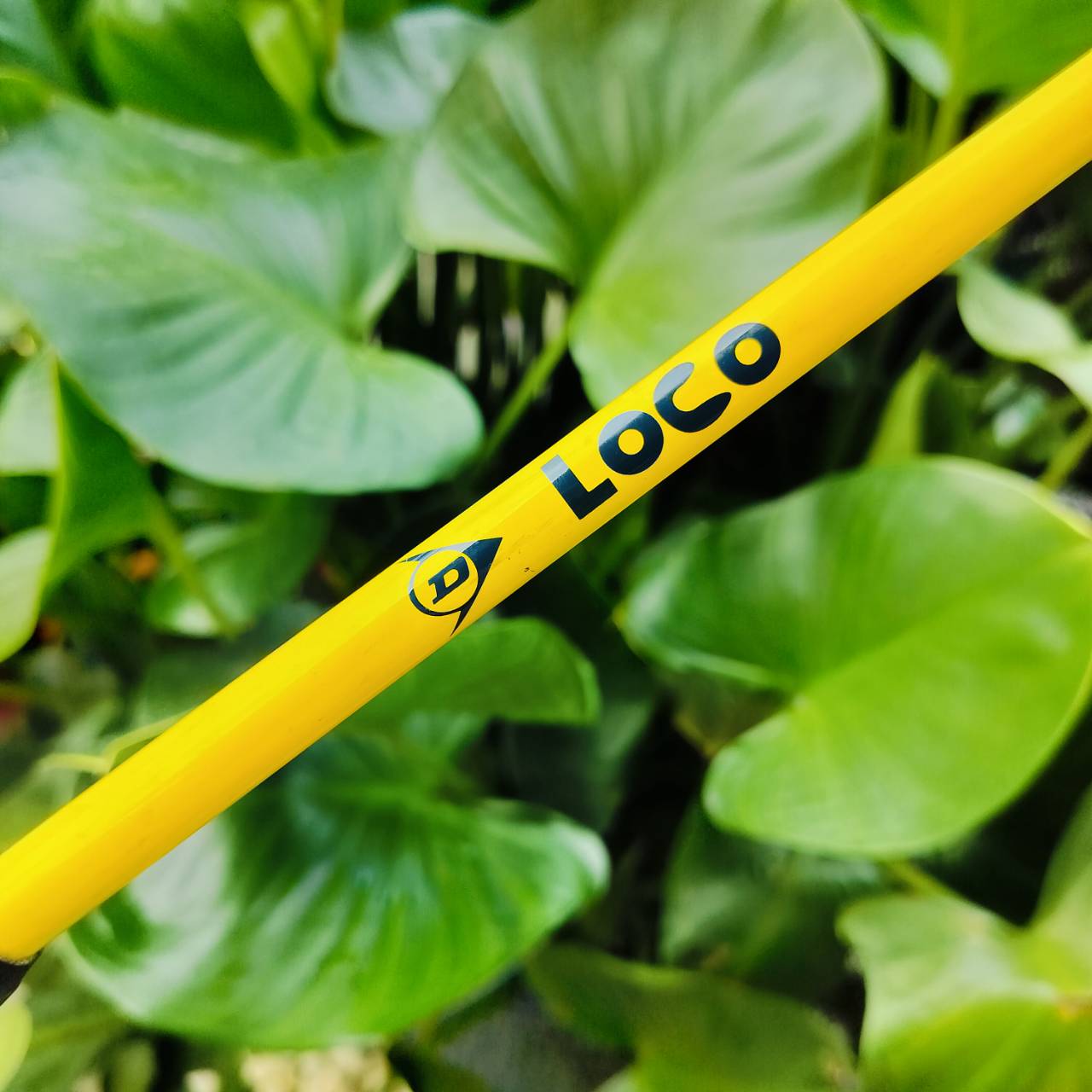 🏌️ ไม้กอล์ฟสำหรับเด็ก 🏌️ PUTTER DUNLOP LOCO ความยาว 32 นิ้ว ทรงสเตนดาร์ด น้ำหนักดีมาก พัตต์นิ่งมากค่ะ ไม้กอล์ฟพรีเมี่ยมมือสอง ของแท้ By NakaraLuxurious