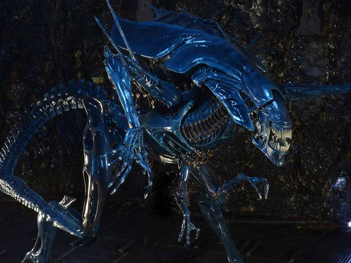 [สั่งจอง] Neca : Alien [Reissue]