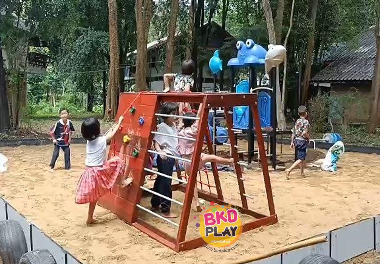 เครื่องเล่นสนามไม้ ชุด B ปีนป่ายเชือก ,ชิงช้า ,ปีนหน้าผา ปีนป่ายไม้ เครื่องเล่นสนามกลางแจ้ง ของเล่นสนาม wood playground