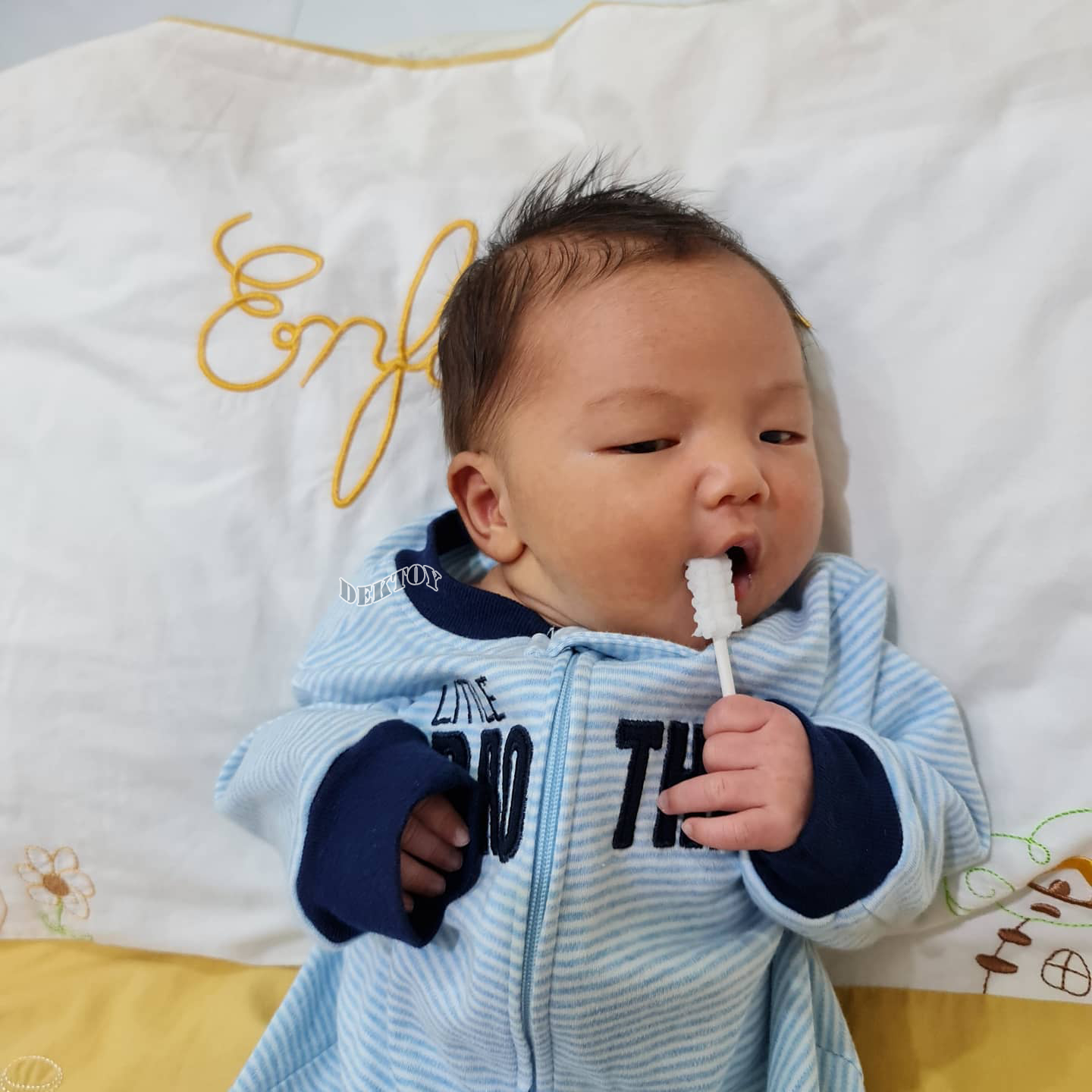 MISTER FOX (มิสเตอร์ฟอกซ์) Gauze Brush แปรงผ้าก๊อซ รุ่นหัวเกลียว (1กระปุก บรรจุ 30 ชิ้น)