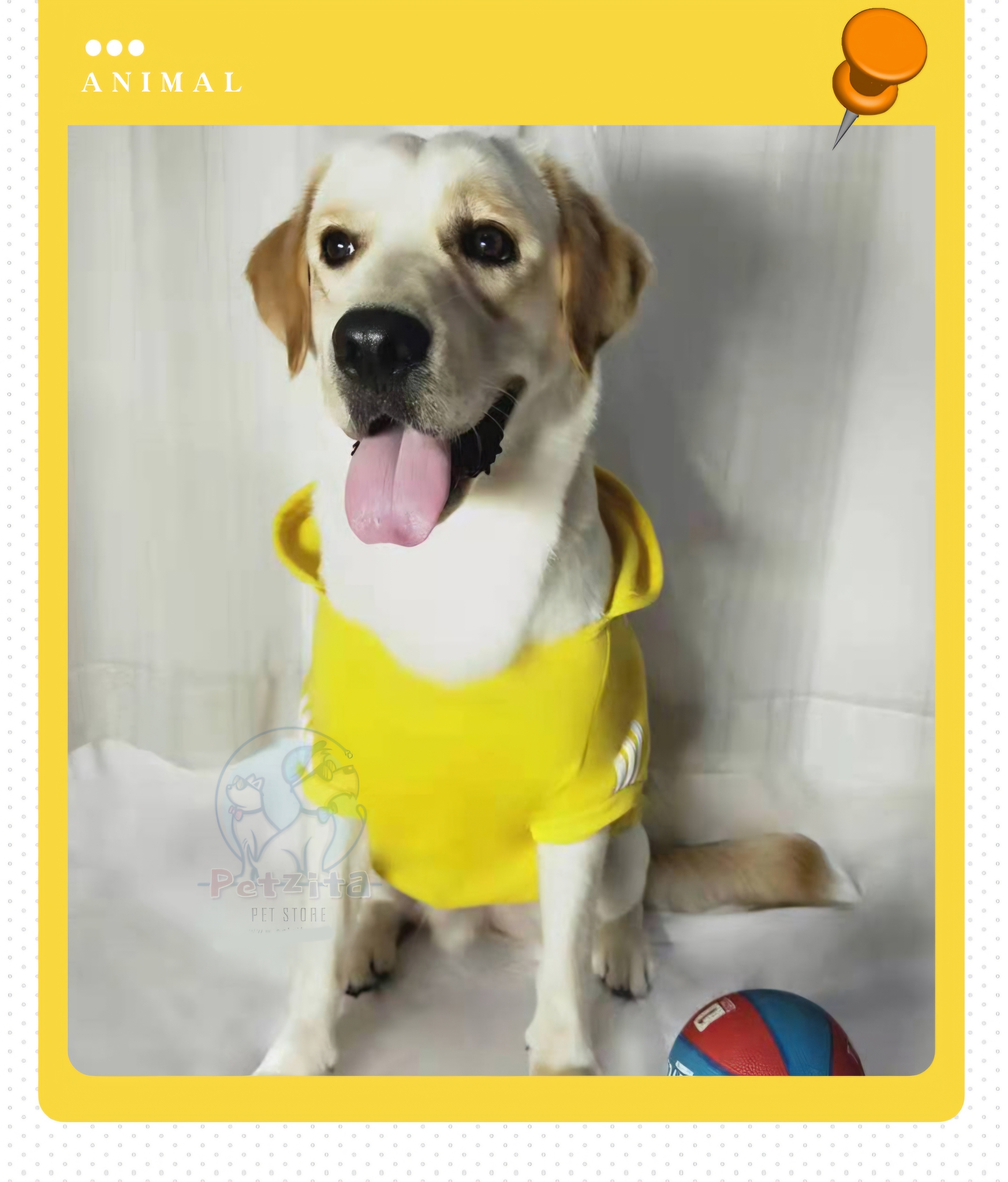 🇹🇭พร้อมส่ง🇹🇭 🐶🐕BIGSIZE เสื้อฮู้ดดี้ ลายการ์ตูน น่ารัก สำหรับ สุนัขพันธุ์กลาง ถึง หมาใหญ่