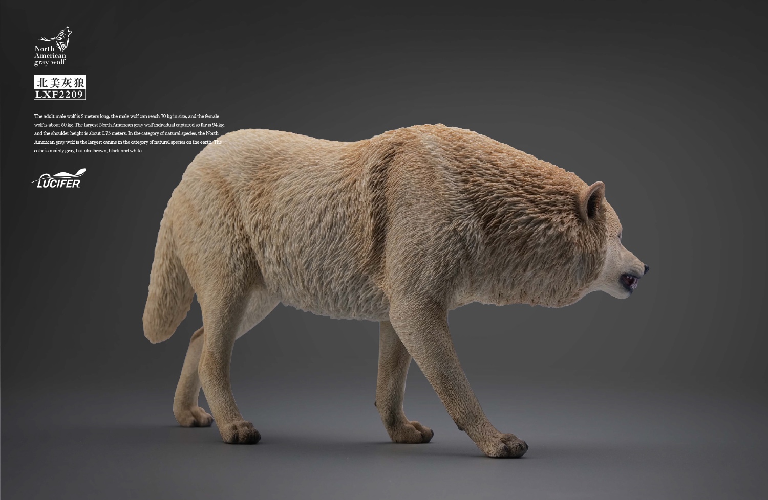 [สั่งจอง] JXK LXF2209 1/6 : Gray Wolf