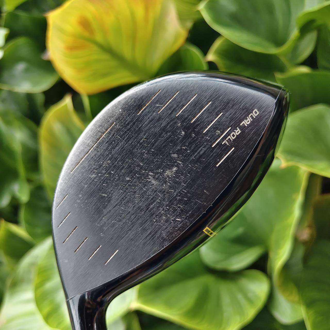 * มีเสียงกุ๊งกิ๊งในหัว * Driver NEW ZL ENCORE วัสดุพรีเมียม Carbon Fiber + Titanium ตีไกลมากๆ