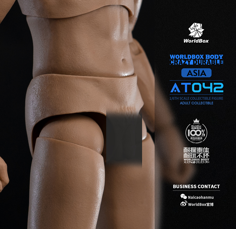 [สั่งจอง]Worldbox AT042 1/6 : Durable Body