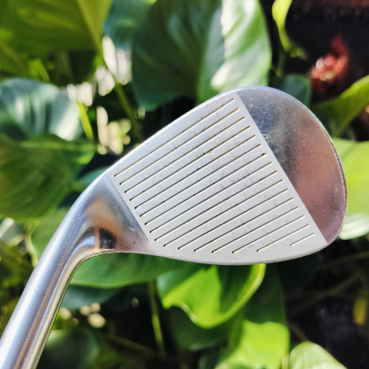WEDGE MARUMAN CONDUCTOR องศา 52 BOUNCE 8 ก้าน DG S200 เป็น WEDGE ที่ชิพง่ายมากๆ ไม้กอล์ฟพรีเมี่ยมมือสอง ของแท้ By NakaraLuxurious