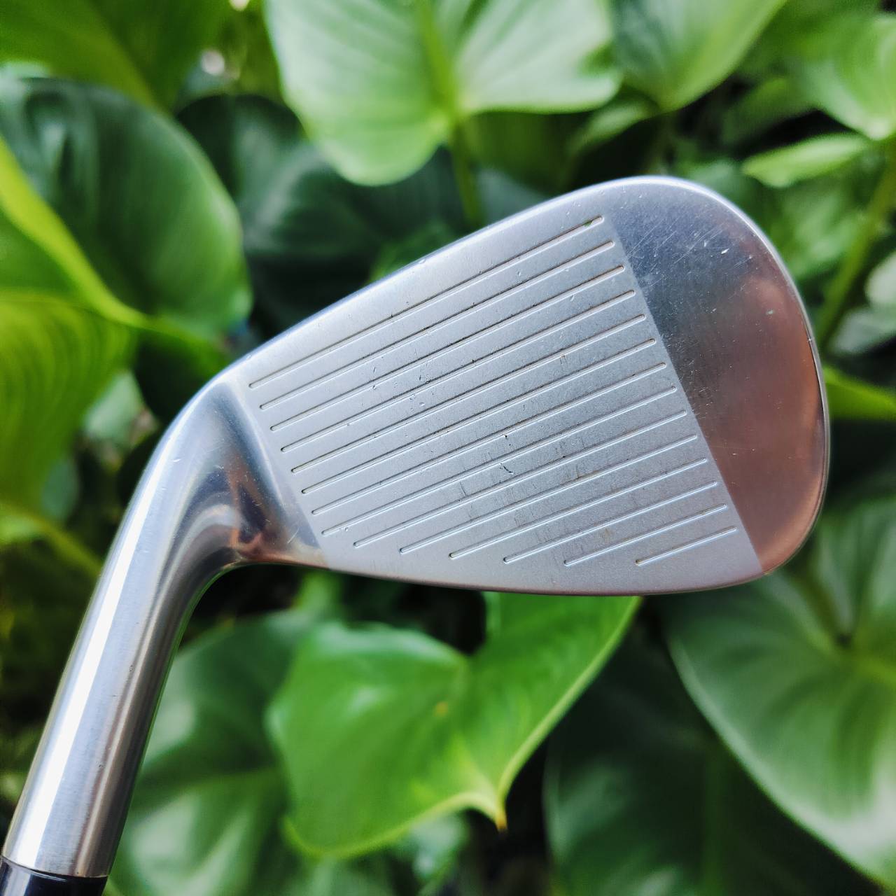 ชุดเหล็ก TAYLORMADE MC FORGED TOUR PREFERRED มีเหล็ก 6 - 9 เเละ PW รุ่นดังน่าโดน ก้าน DYNAMIC GOLD S200 เป็นเหล็ก FORGED ของแบรนด์ Taylormade ไม้กอล์ฟพรีเมี่ยมมือสอง ของแท้ By NakaraLuxurious