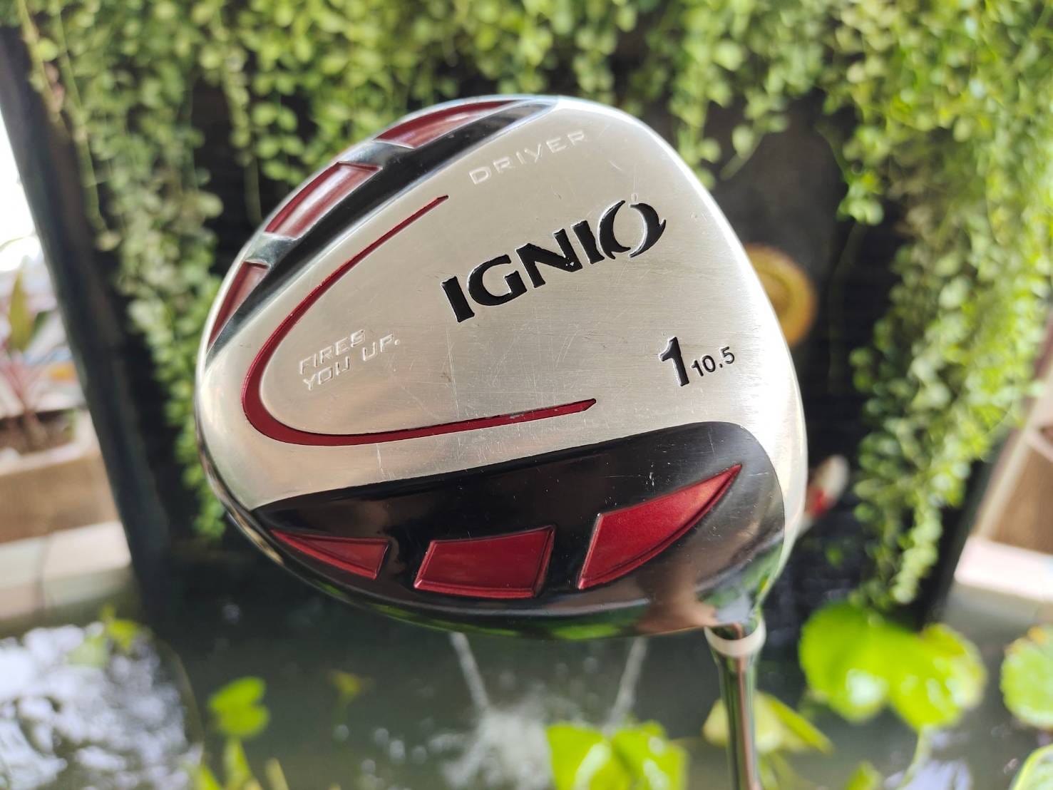 DRIVER IGNIO 10.5 FLEX R 460 CC.