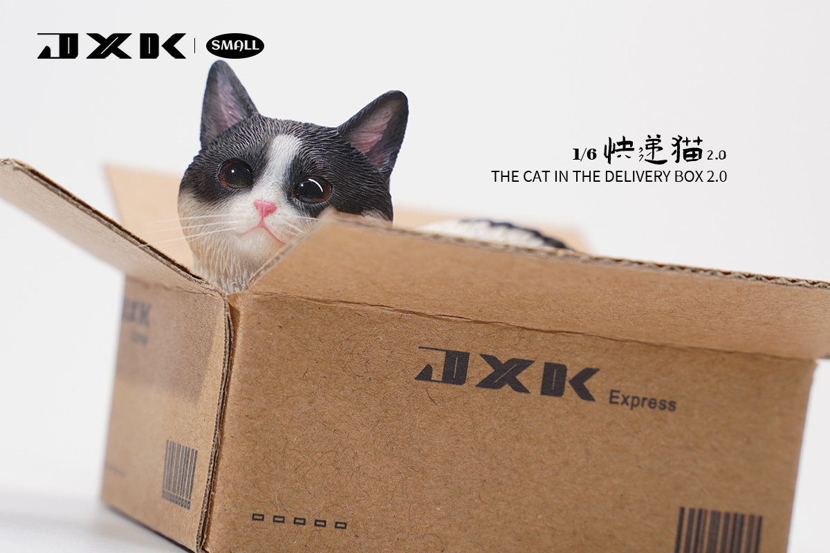[สั่งจอง] JXK small JS2302 1/6 The Cat In The Delivery Box 2.0