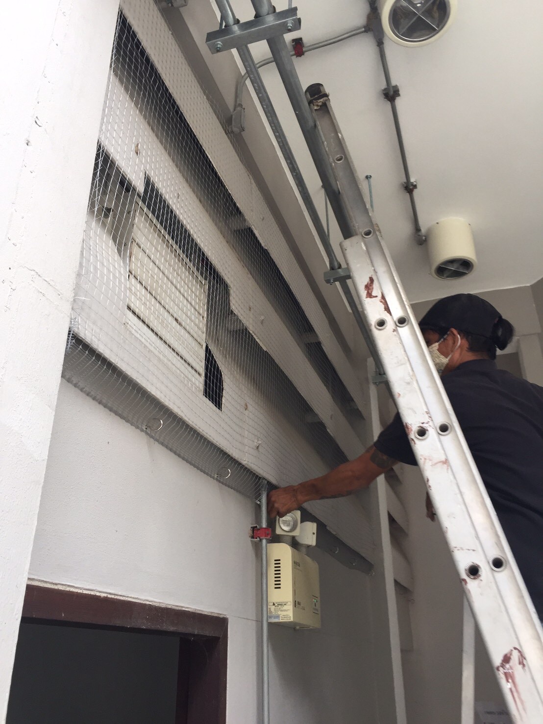 งานติดตาข่ายกันนก ตึกกายวิทยาทาน มหาวิทยาลัยมหิดล