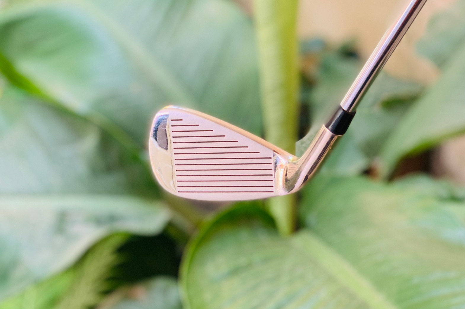 เหล็ก 4 T-ZOOM X5 FORGED (หัวทอง)