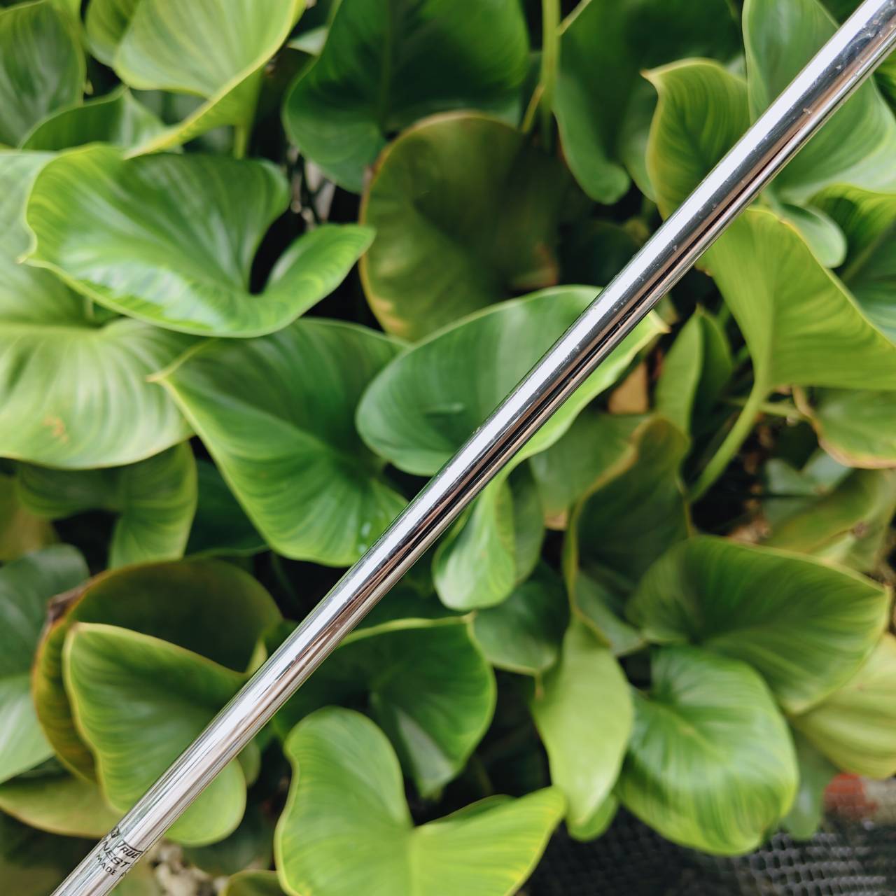 PUTTER PING SCOTTSDALE PICKEMUP ความยาว 34 นิ้ว 📌รุ่นที่เก็บลูกได้สุดฮิต❗