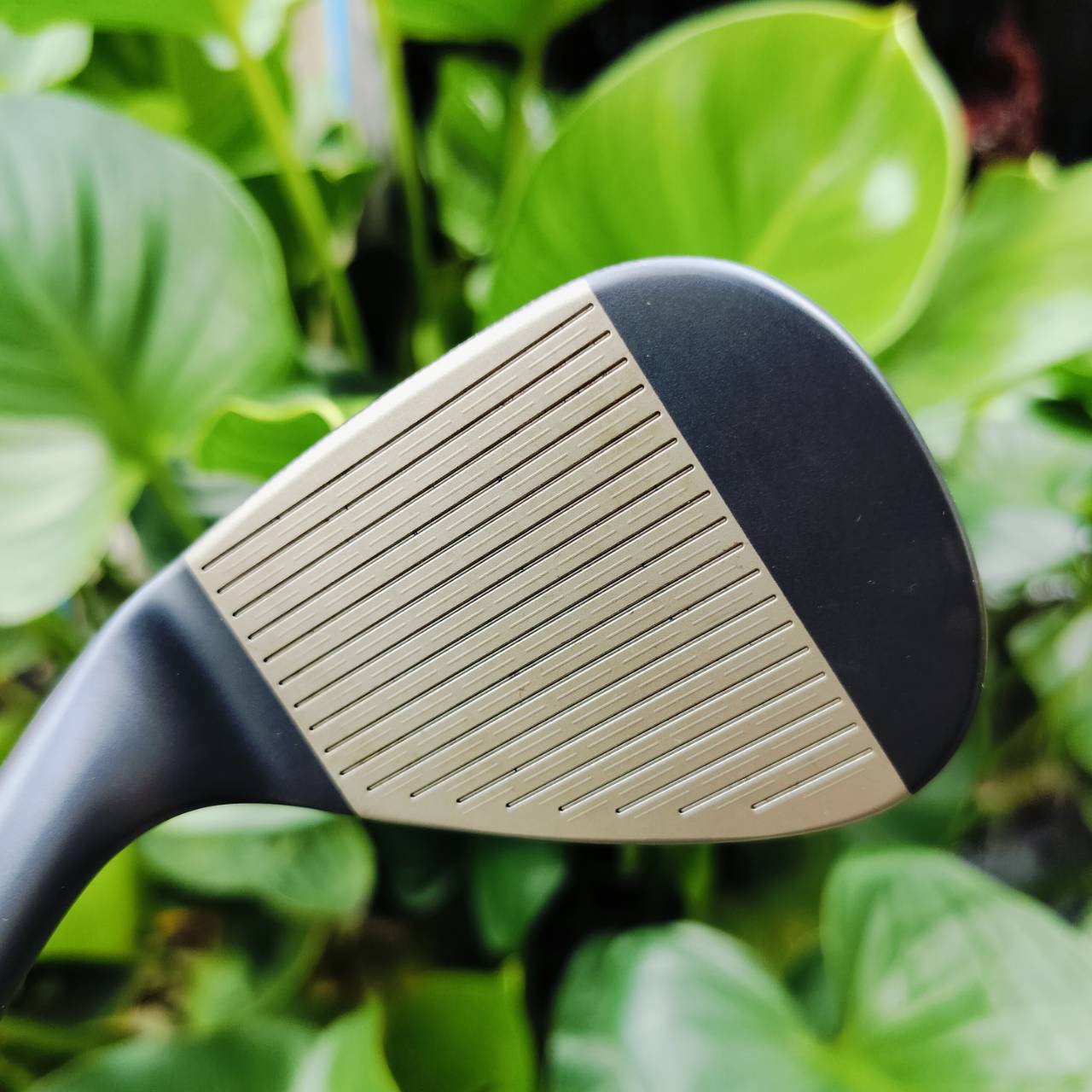 WEDGE TAYLORMADE MILLED GRIN 3 องศา 60 BOUNCE 10 Satin RAW Black ก้าน DYNAMIC GOLD S200 TOUR ISSUE . Thick-Thin Design ที่ช่วยให้วิศวกรออกแบบน้ำหนักจัดวางจุดศูนย์ถ่วงได้อย่างแม่นยำ จุดศูนย์ถ่วงอยู่ต่ำในเวดจ์องศา อยู่สูงในเวดจ์องศาสูง ไม้กอล์ฟพรีเมี่ยมมือส
