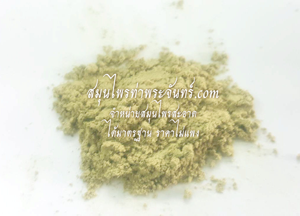 โคกกระสุนผง ( 500กรัม - 1กิโล ) / ( 500g - 1kg ) สมุนไพรท่าพระจันทร์