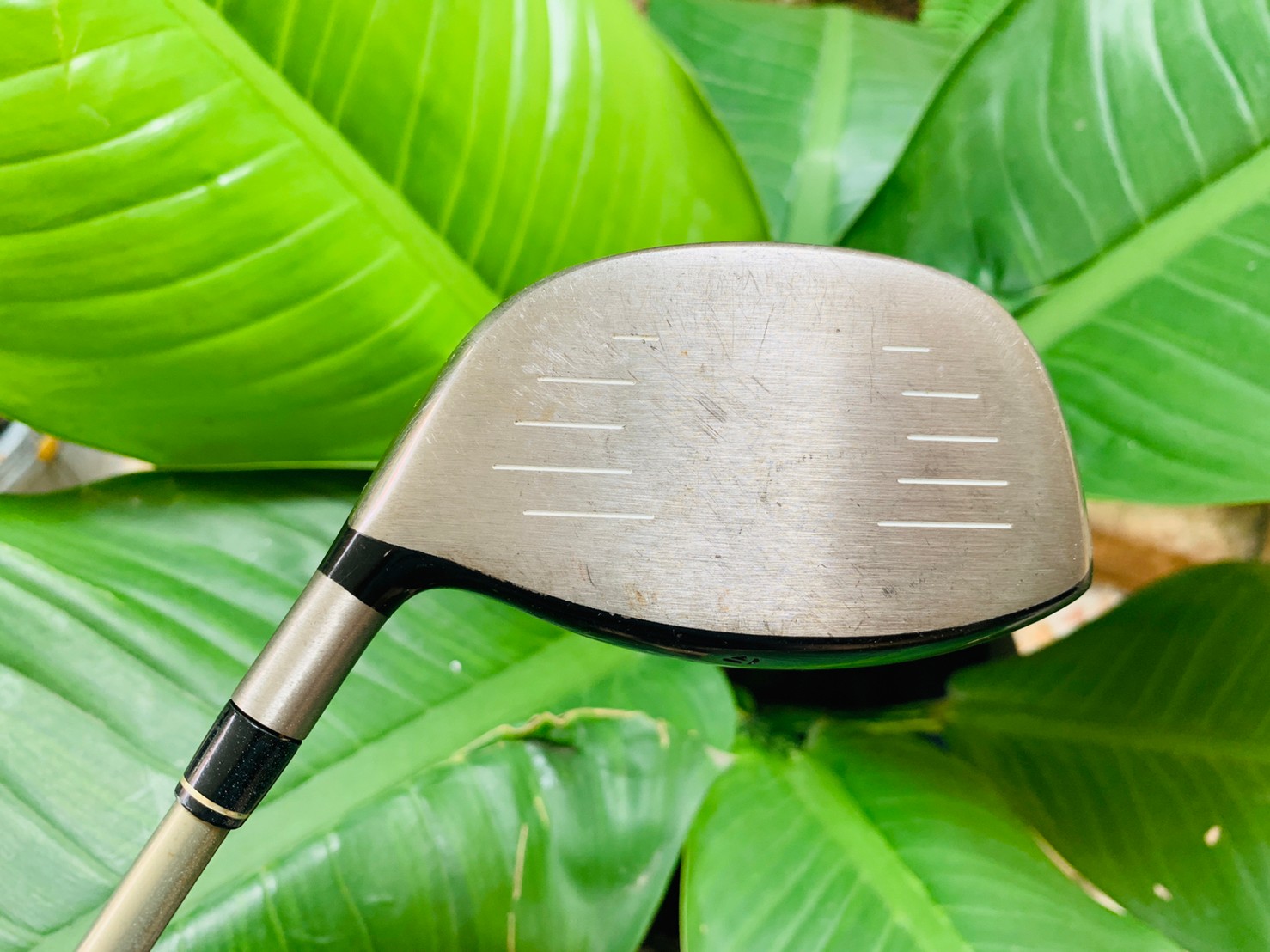 DRIVER TAYLORMADE R580 XD