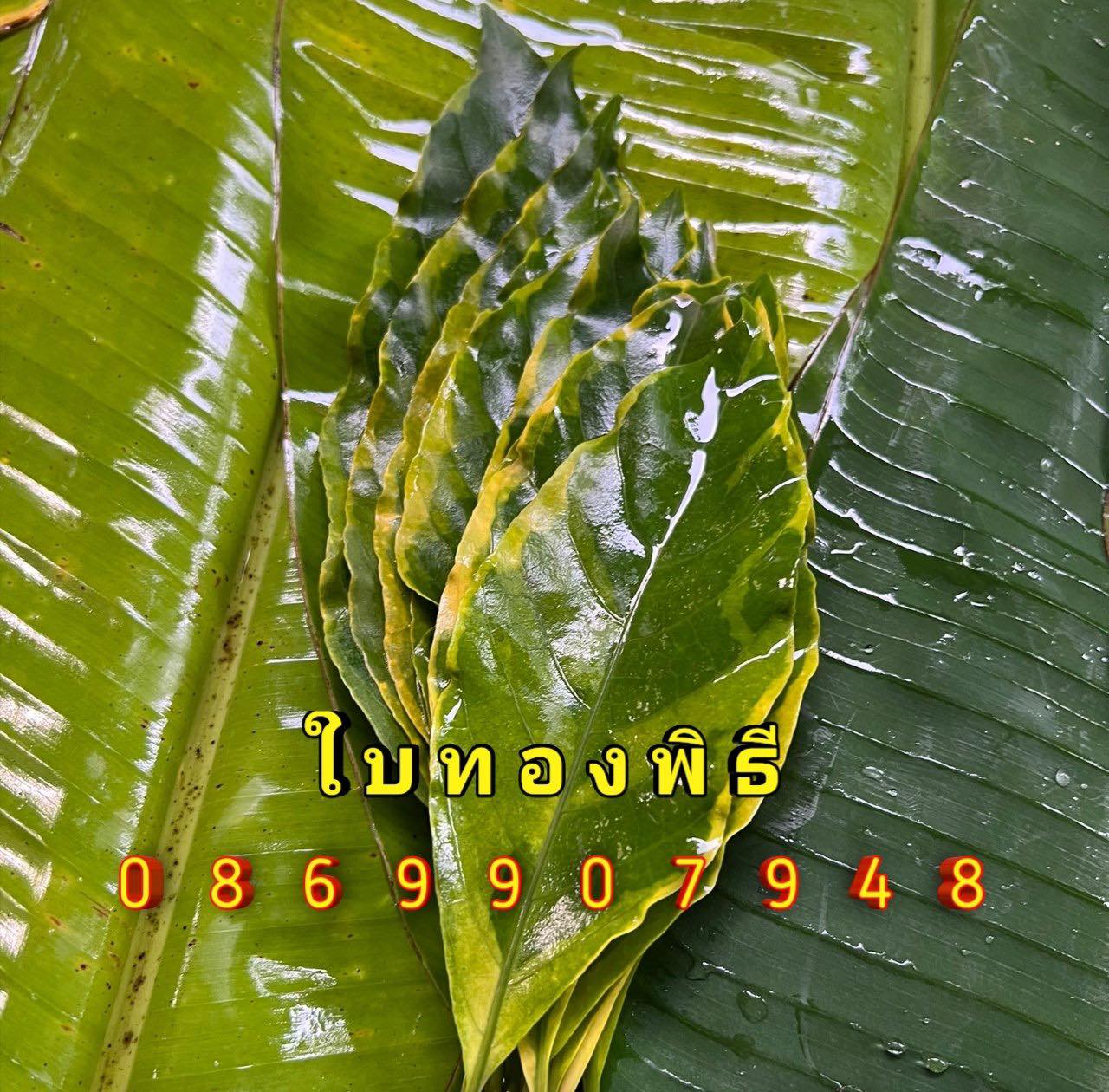 ใบไม้มงคล (พิธี)