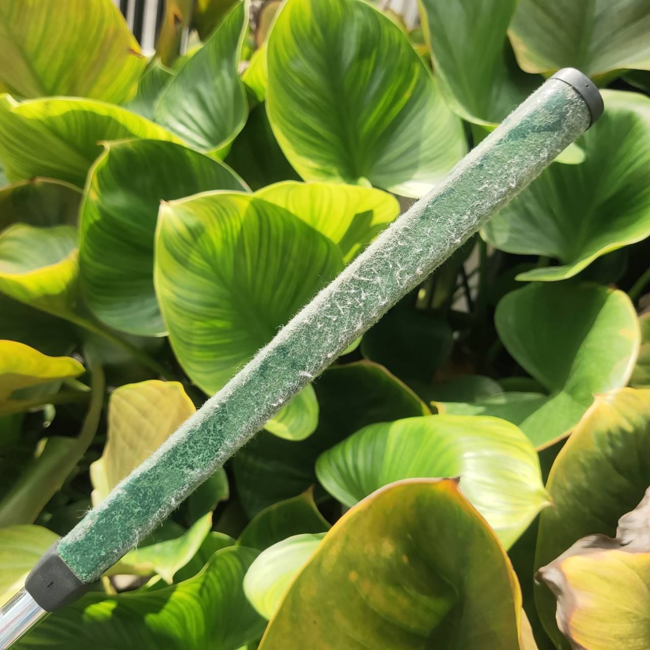 PUTTER USKG - 508 ความยาว 30 นิ้ว พัตเตอร์อันดับ 1 สำหรับนักกอล์ฟเด็กหรือเยาวชน