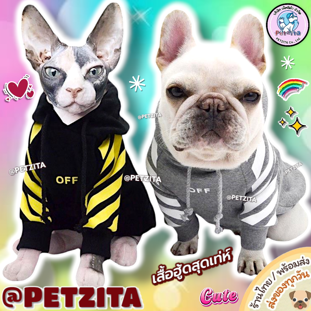 🇹🇭พร้อมส่ง🇹🇭💥เสื้อฮู้ดดี้สุดเท่ห์ เสื้อผ้าสัตว์เลี้ยง pet สุนัข หมา แมว