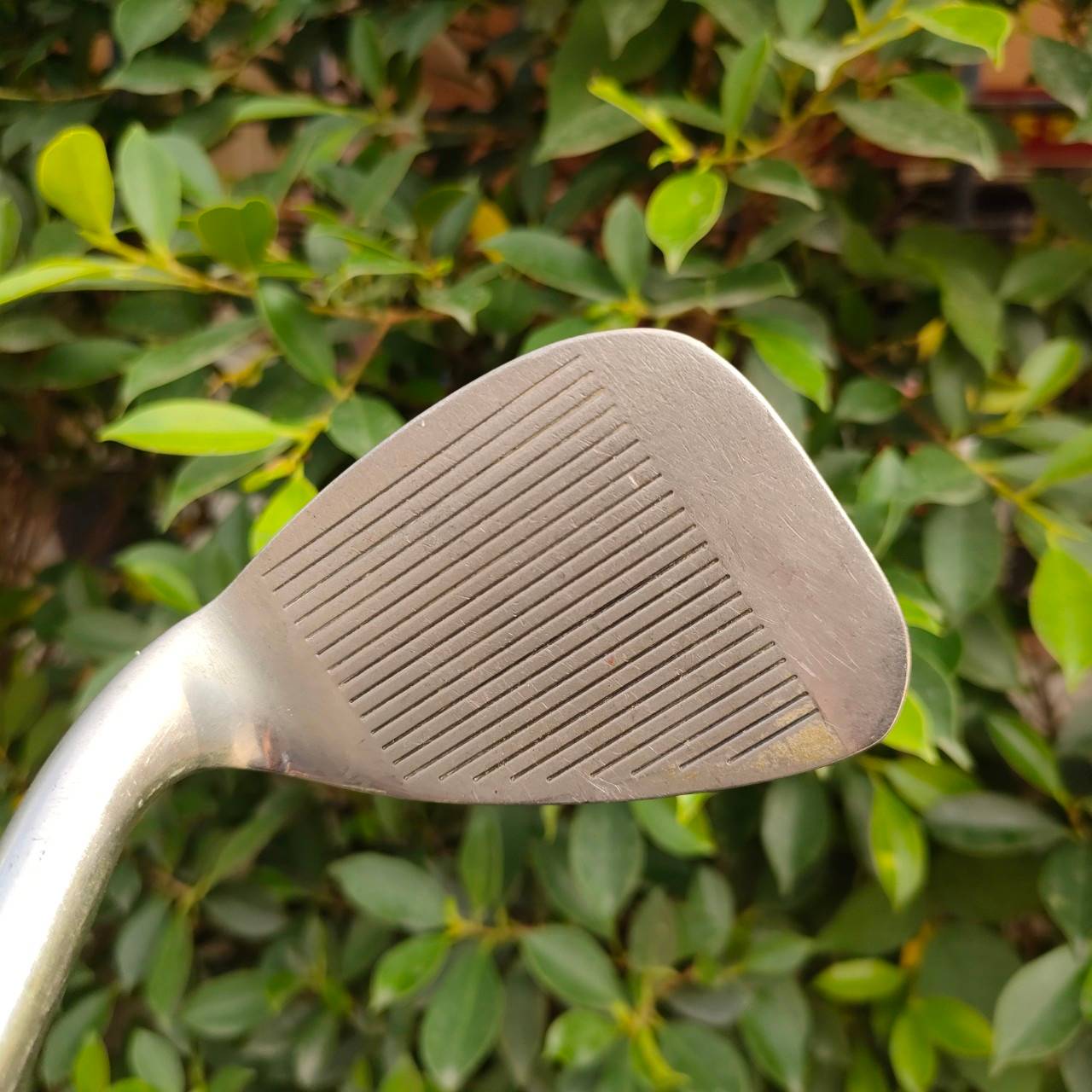 SW LYNX MASTER MODEL ก้าน LYNX FLEX WEDGE WEDGE คมๆ ที่น่าใช้มากครับ องศา 56 ระเบิดทรายสบายๆ ตีบนแฟร์เวย์ก็ได้ครับ