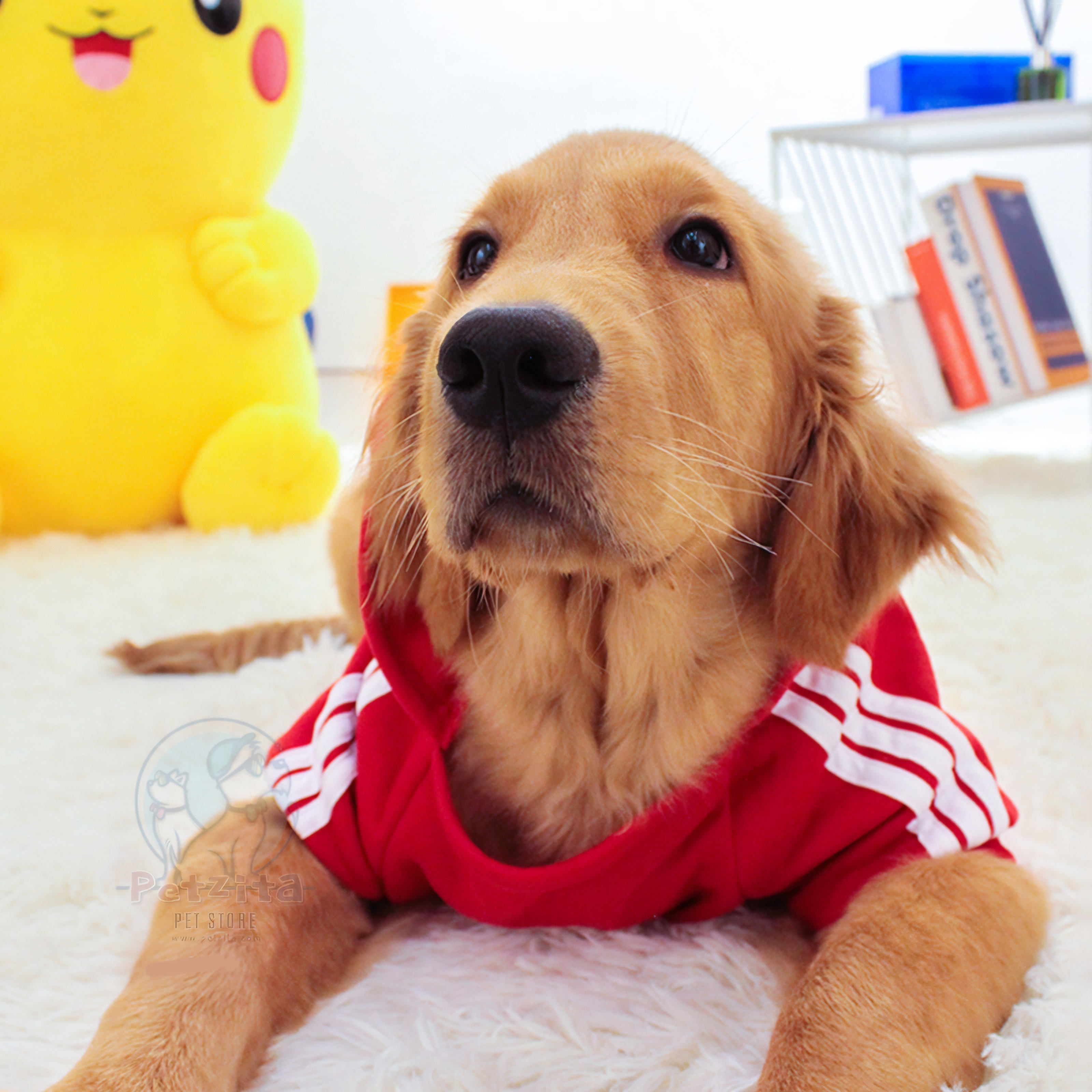 🇹🇭พร้อมส่ง🇹🇭 🐶🐕BIGSIZE เสื้อฮู้ดดี้ ลายการ์ตูน น่ารัก สำหรับ สุนัขพันธุ์กลาง ถึง หมาใหญ่