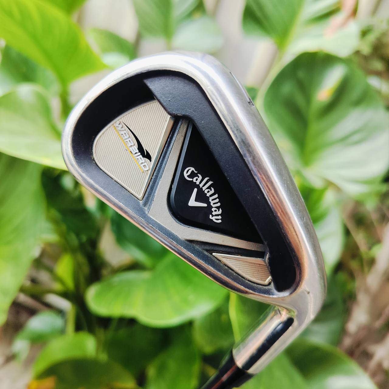 ชุดเหล็ก Callaway WAR BIRD มีเหล็ก 5 6 7 8 9 PW SW ค่ะ ก้านกราไฟต์ WAR BIRD FLEX R สภาพสวยมาก เดิมๆทุกชิ้นเลยค่ะ ไม้กอล์ฟพรีเมี่ยมมือสอง ของแท้ By NakaraLuxurious
