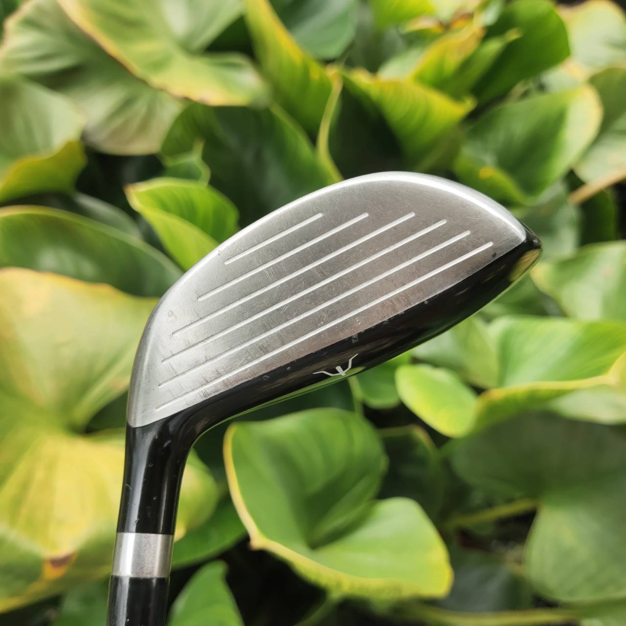 U5 MIZUNO RV-03 Loft 28 หน้าไม้บาง Ball Speed ดี ลูกพุ่ง สปินต่ำ