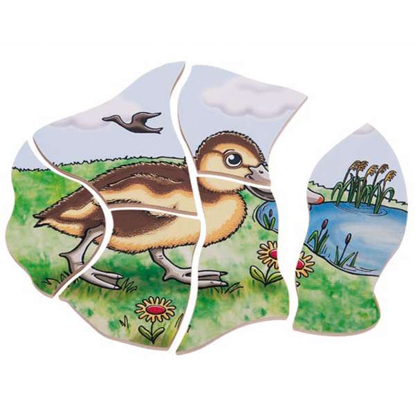 เกมปริศนา-วงจรชีวิตของเป็ด ของเล่น, ของเล่นเด็ก, จิ๊กซอว์, ตัวต่อ, ของเล่นไม้, ของเล่นเสริมพัฒนาการ, ของเล่นเด็กอนุบาล