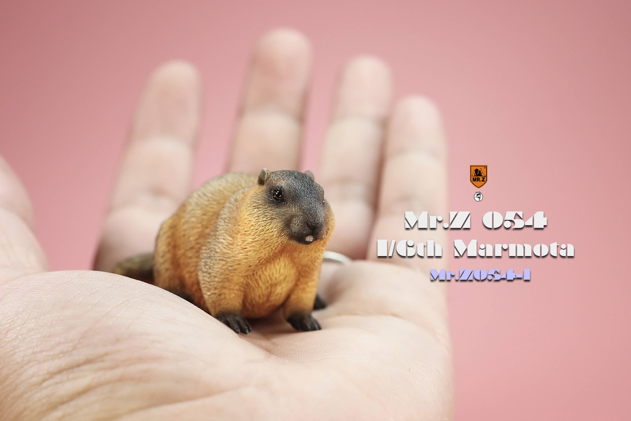 [สั่งจอง]Mr.Z MRZ054 1/6 : Animal Model - Marmota