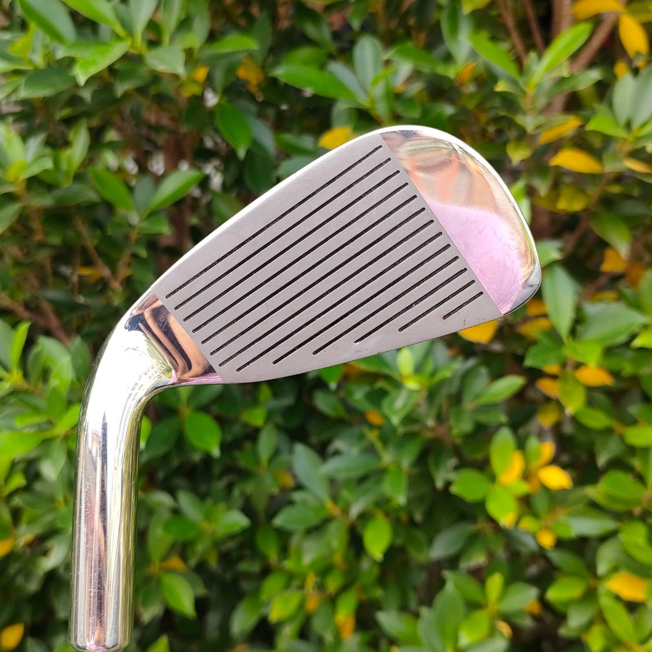 ชุดเหล็ก GOLDEN TOUR มีเหล็ก 3-9 PW SW ก้าน GOLDEN TOUR สภาพสวย เดิมๆครับ