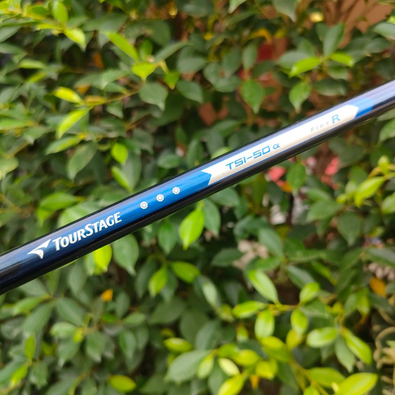 ชุดเหล็ก BRIDGESTONE TOURSTAGE VIQ มีเหล็ก 6-9 เเละ PW ก้าน TSI-50 FLEX R ชุดเหล็กหน้าเด้ง ญี่ปุ่น ที่หน้าไม้มีแผ่นพิเศษ อีกหนึ่งแผ่น ช่วยให้ตีไกล และสปินคมจัด ตีง่ายมากๆ ไกลกว่าปกติ 1 เบอร์