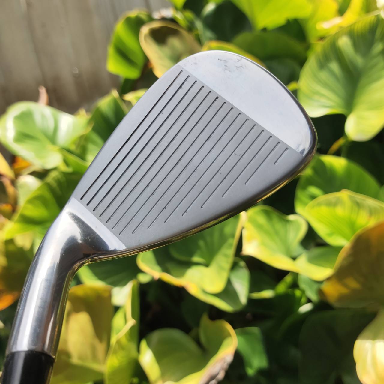 *ไม้กอล์ฟผู้หญิงครบชุด* DAIWA ADVISOR LADY พรีเมี่ยมญี่ปุ่น ออกแบบให้ตีง่ายมากที่สุด