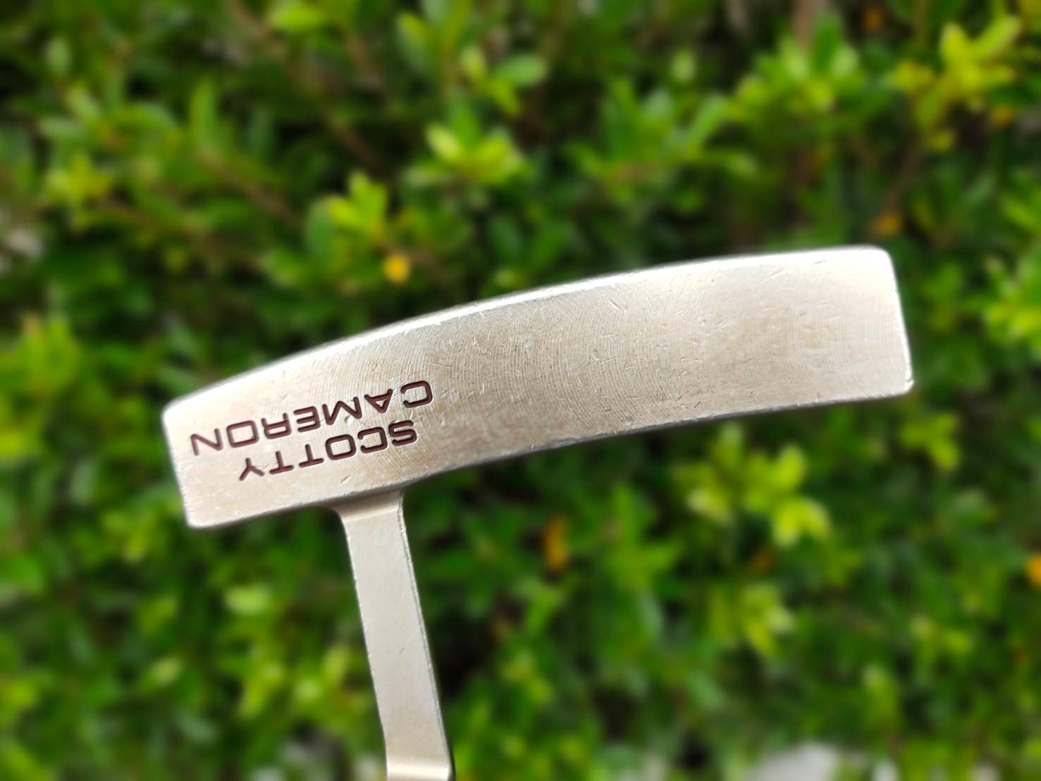 PUTTER TITLEIST SCOTTY CAMERON CALIFORNIA SONOMA สภาพสวยเดิมๆ ยาว 34 นิ้ว