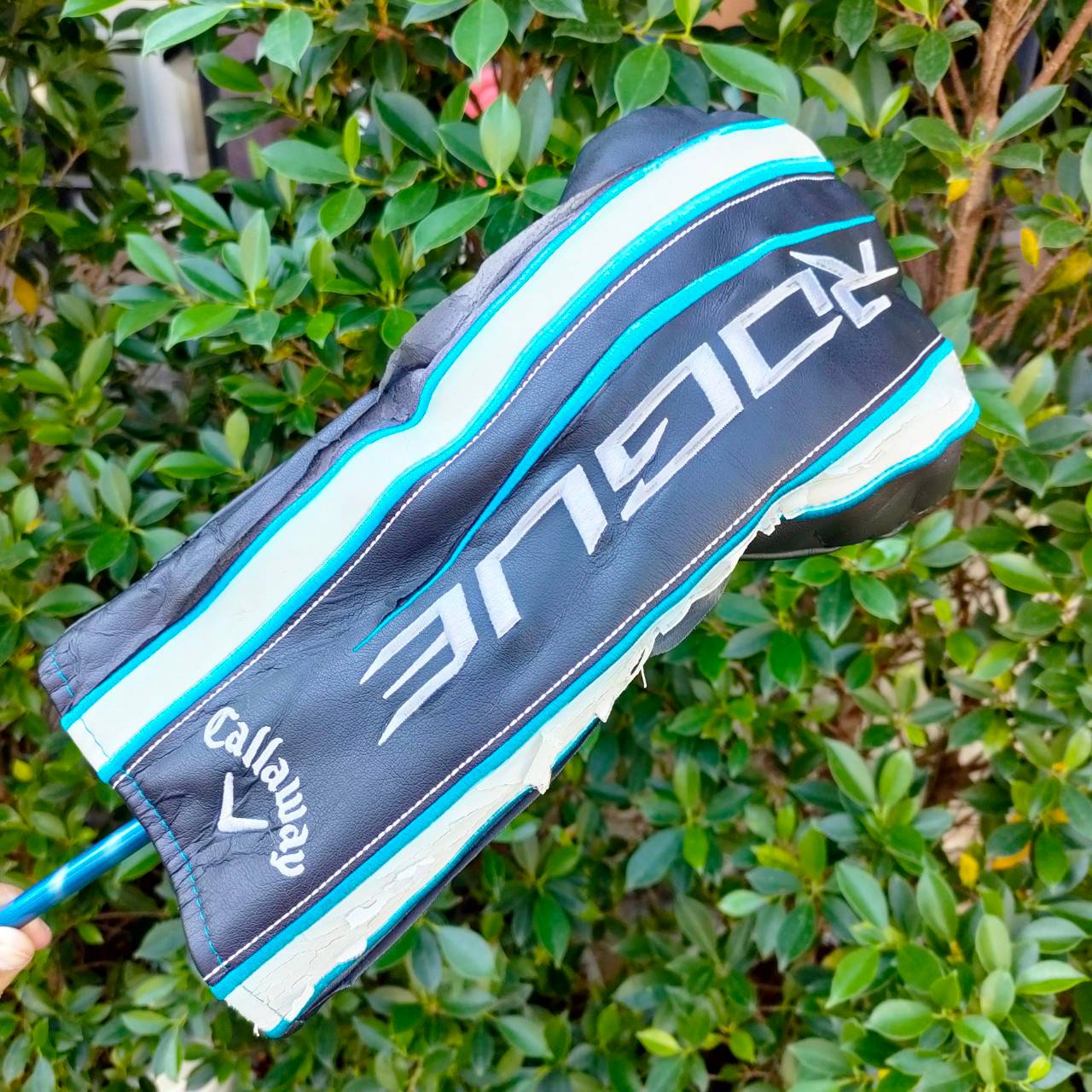 DRIVER CALLAWAY ROGUE องศา 10.5 ก้าน FUJIKURA SPEEDER 560 EVOLUTION V FLEX S สุดยอดแห่งความมันส์ สุดยอดไกล