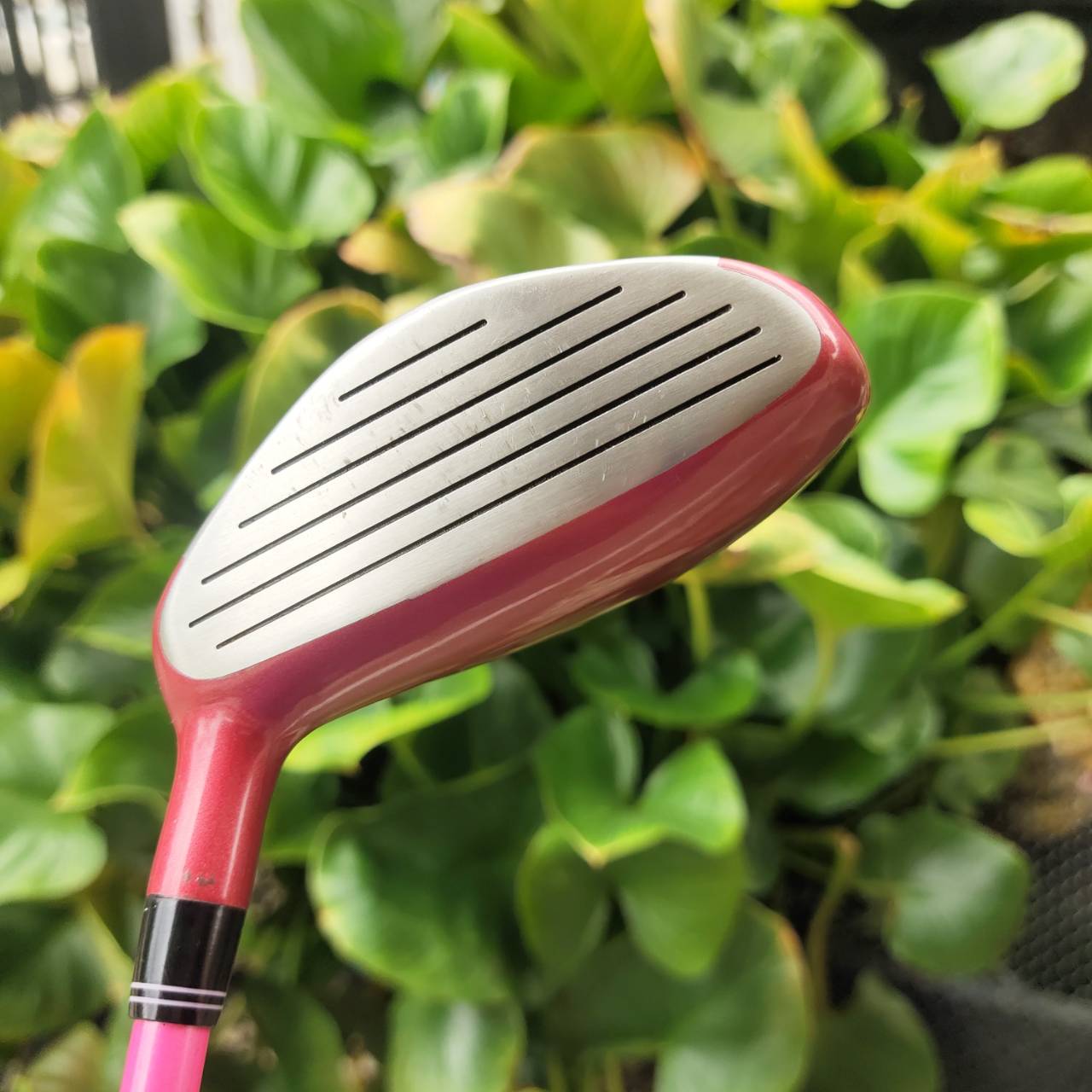 U5 KASCO DIMPALS Loft 24 องศา ก้าน FLEX L (สำหรับผู้หญิง หรือมือใหม่ที่สปีดสวิงช้า)