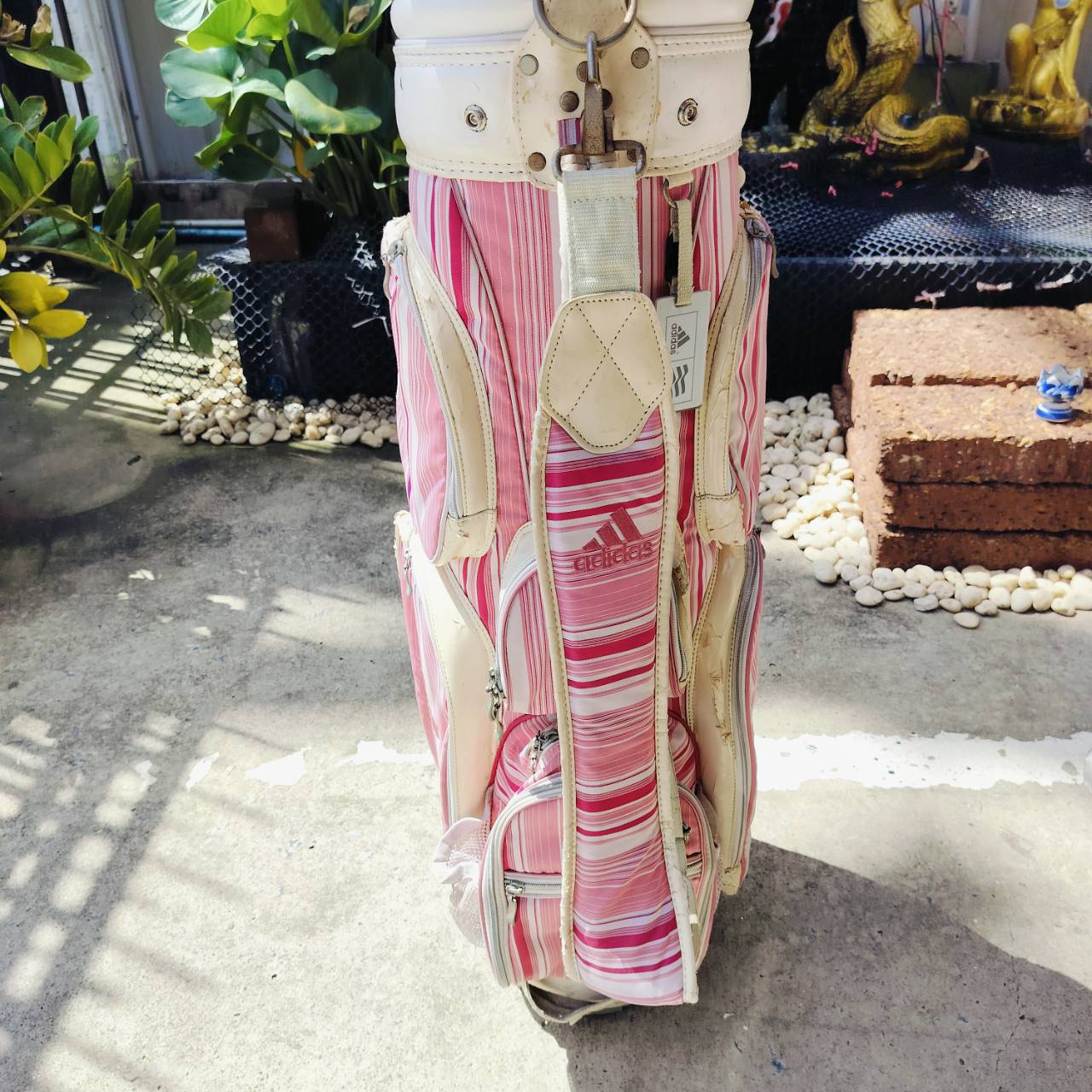 *** ไม้กอล์ฟผู้หญิงครบชุด *** ถุงกอล์ฟ ADIDAS มีลอกเยอะ *** ไม่มีเหล็ก 6 *** FULLSET KASCO DIMPLAS EL LADY ชุดไม้กอล์ฟครบเซ็ตยอดนิยมสูงสุด แบรนด์ญี่ปุ่น หัวไม้ได้ถึง 4 หัว หน้าเด้งตีไกล ไม้กอล์ฟพรีเมี่ยมมือสอง ของแท้ By NakaraLuxurious