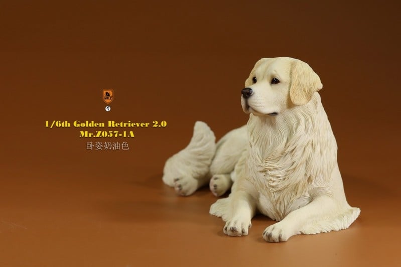 [สั่งจอง]Mr.Z MRZ057 1/6 : Golden Retriever 2.0