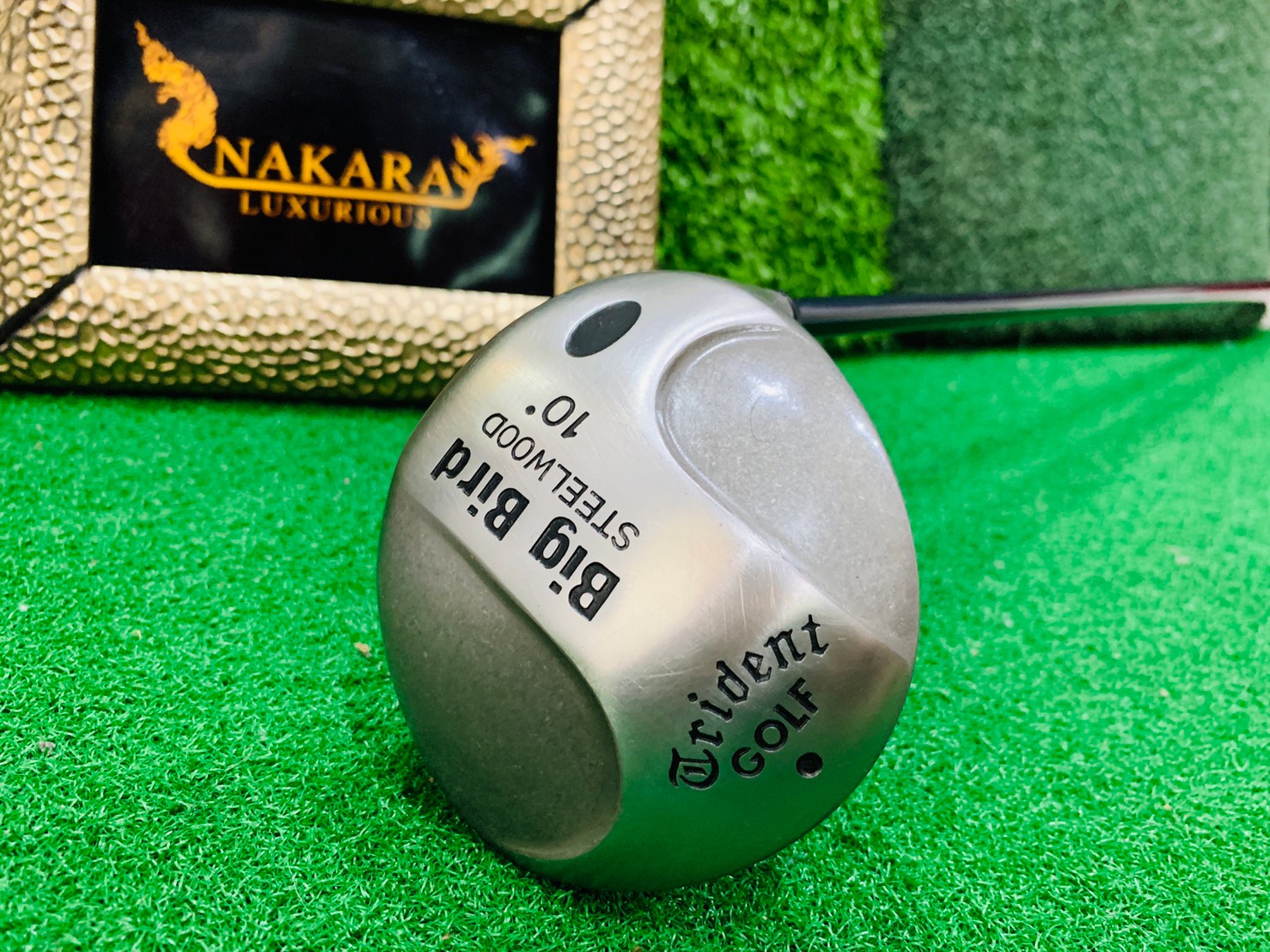 DRIVER BIG BIRD STEEL WOOD