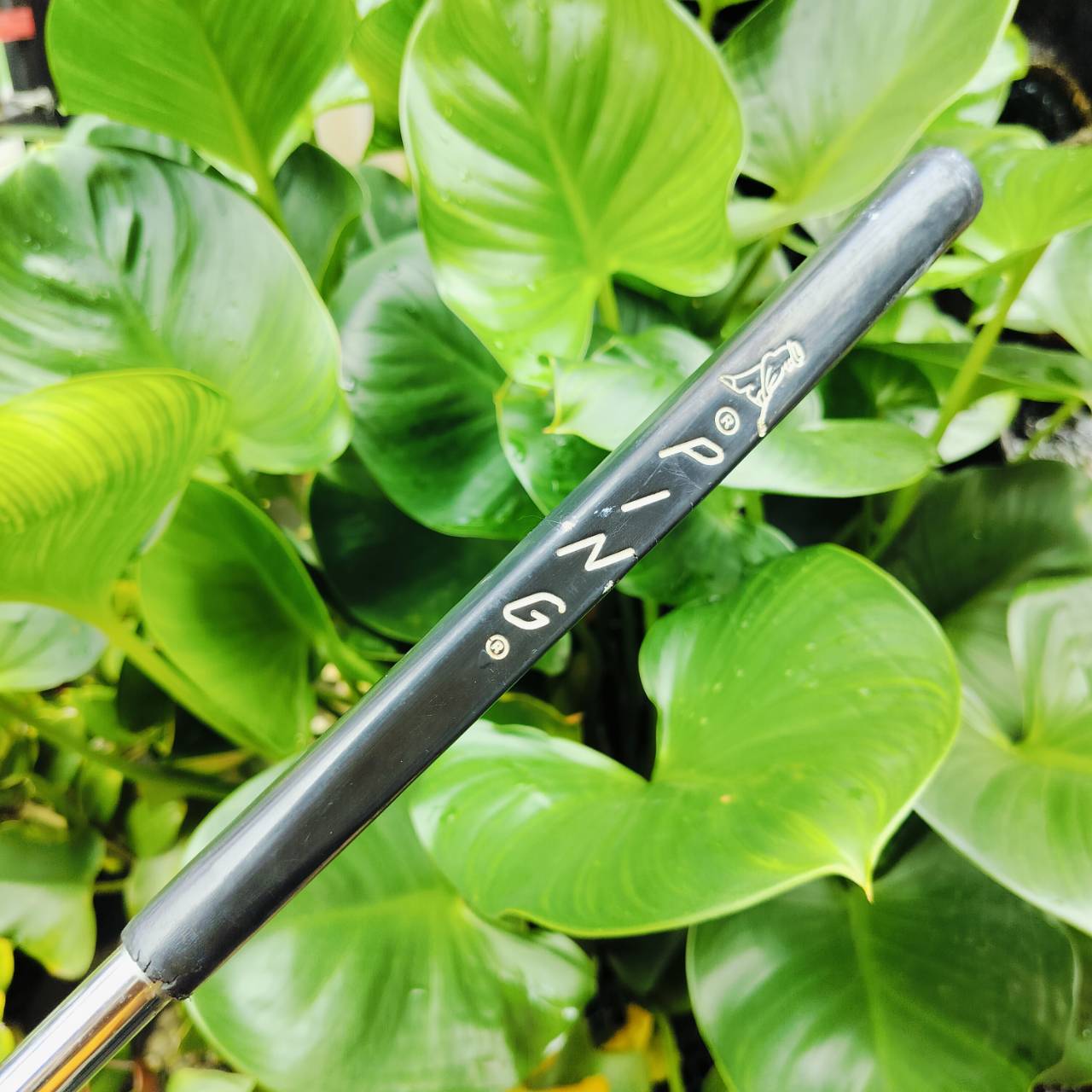 PUTTER PING ZING 2 ความยาวก้าน 35 นิ้ว น้ำหนักดี และหน้ายาวกว่า รุ่น ANSER พัตต์ง่ายกว่าด้วย ไม้กอล์ฟพรีเมี่ยมมือสอง ของแท้ By NakaraLuxurious