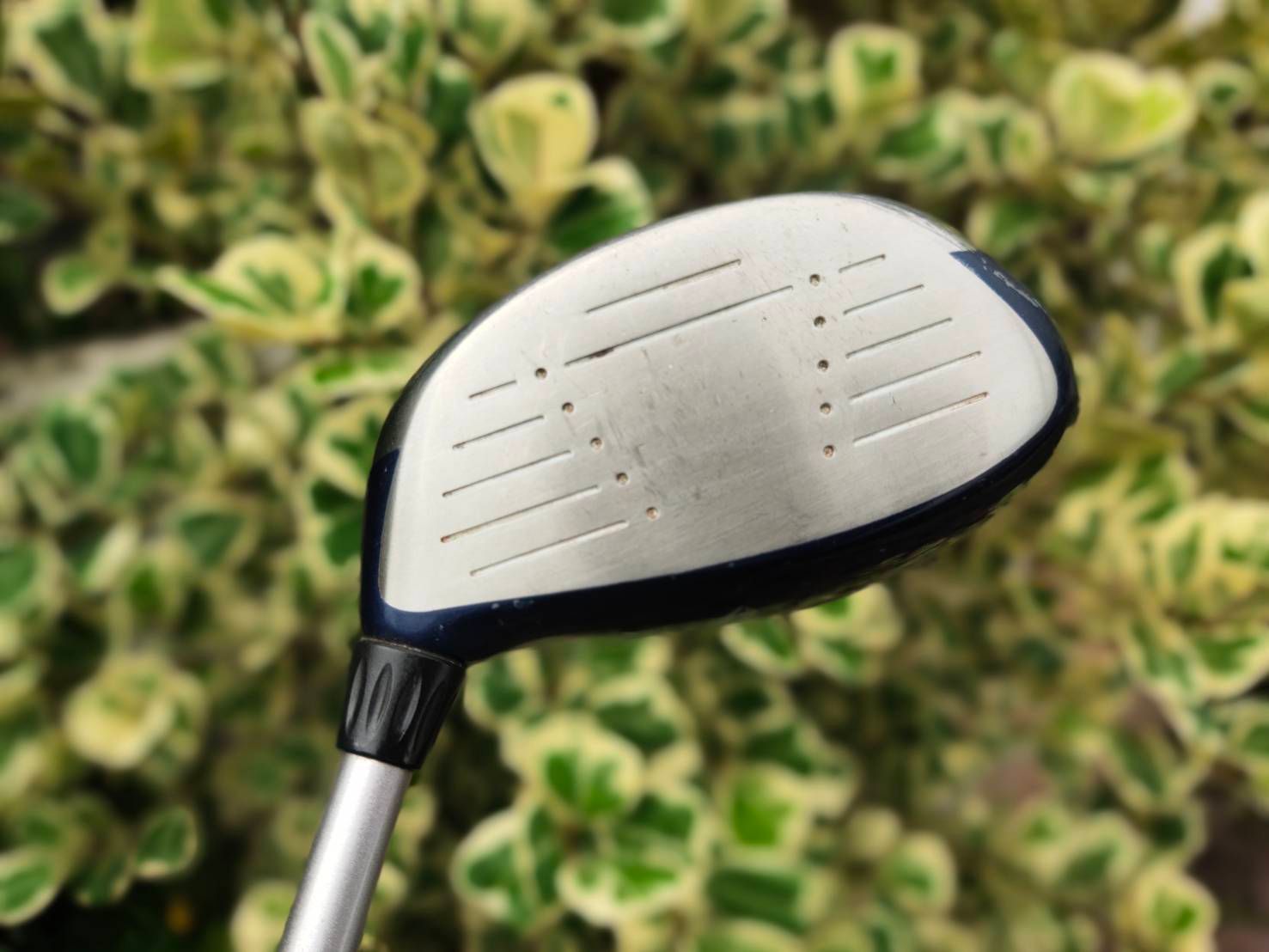 FW Callaway GREAT BIGBERTHAR II