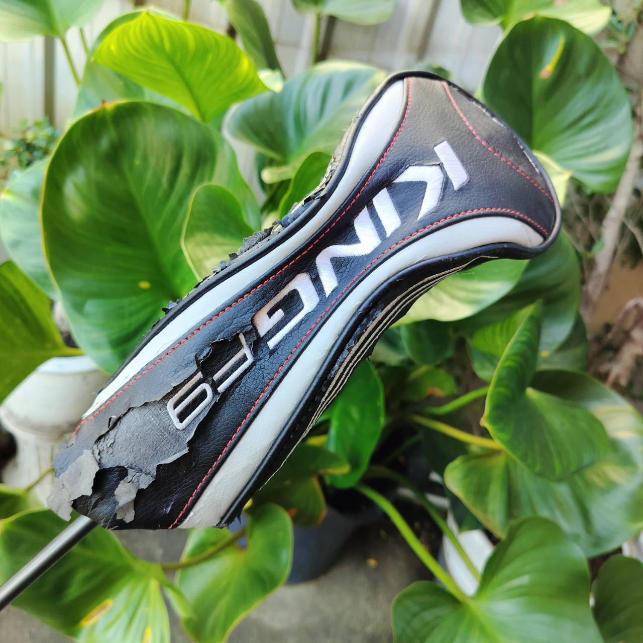 FW3 COBRA KING F9 องศา 14.5 และสามารถไขปรับองศาเพิ่มเติมได้ค่ะ BAFFLER “Speedback” หน้า CNC MILLED กระดองเคฟล่า ตีง่าย หัวแบน น่าตีมากๆ ก้าน FUJIKURA SPEEDER EVO FLEX R ไม้กอล์ฟพรีเมี่ยมมือสอง ของแท้ By NakaraLuxurious