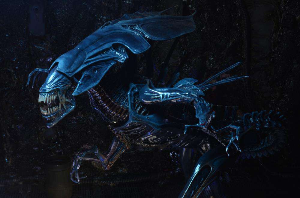 [สั่งจอง] Neca : Alien [Reissue]
