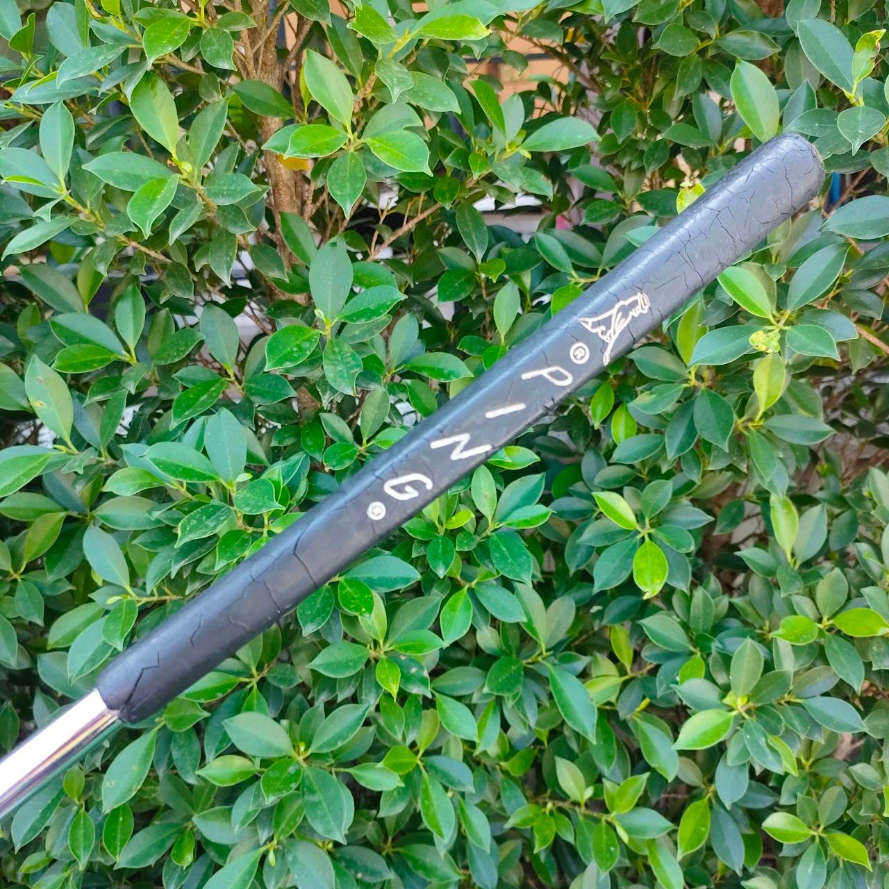 PUTTER PING MYDAY วัสดุทองเหลืองแท้ๆสวยมาก MYDAY หายากมาก ส่วนใหญ่คนมีไม่ค่อยปล่อย นักสะสมตามหาอย่างต่อเนื่อง