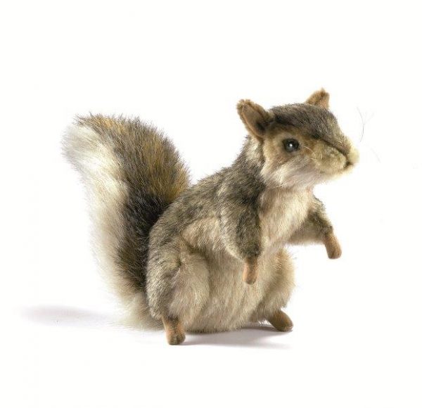 5676 Gray Squirrel Standing 18cm.H