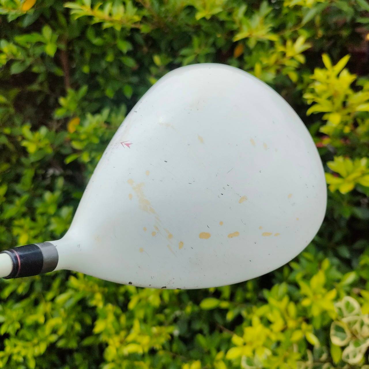 ** ไม้กอล์ฟสำหรับผู้หญิง ** DRIVER ELORD CX 470V องศา 11.5 ก้าน ELORE FLEX L หัวใหญ่ 470 CC. ทำให้ตีง่ายขึ้น!!! สวีตสปอตกว้าง หน้าเด้งมาก!!! COR สูงที่สุด!! ไม้กอล์ฟมือสอง ของแท้ BY NakaraLuxurious