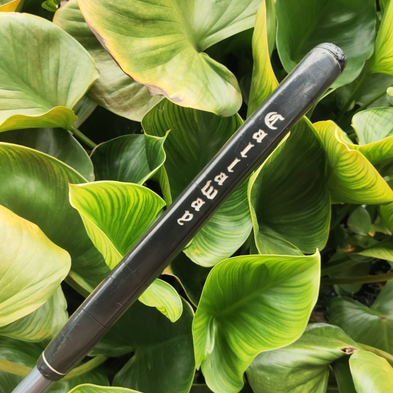 PUTTER CALLAWAY THE TUTTLE ทรงหลังเต่า ตัวดัง!! Tuttle Mallet พัตต์ดีมากกก