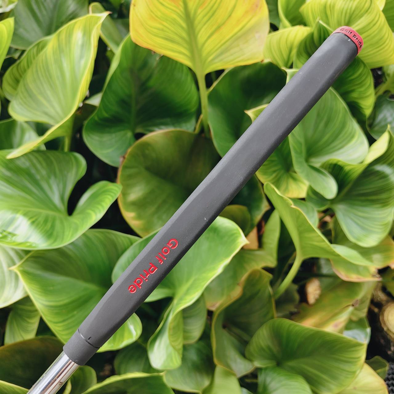 PUTTER PING SCOTTSDALE PICKEMUP ความยาว 34 นิ้ว 📌รุ่นที่เก็บลูกได้สุดฮิต❗