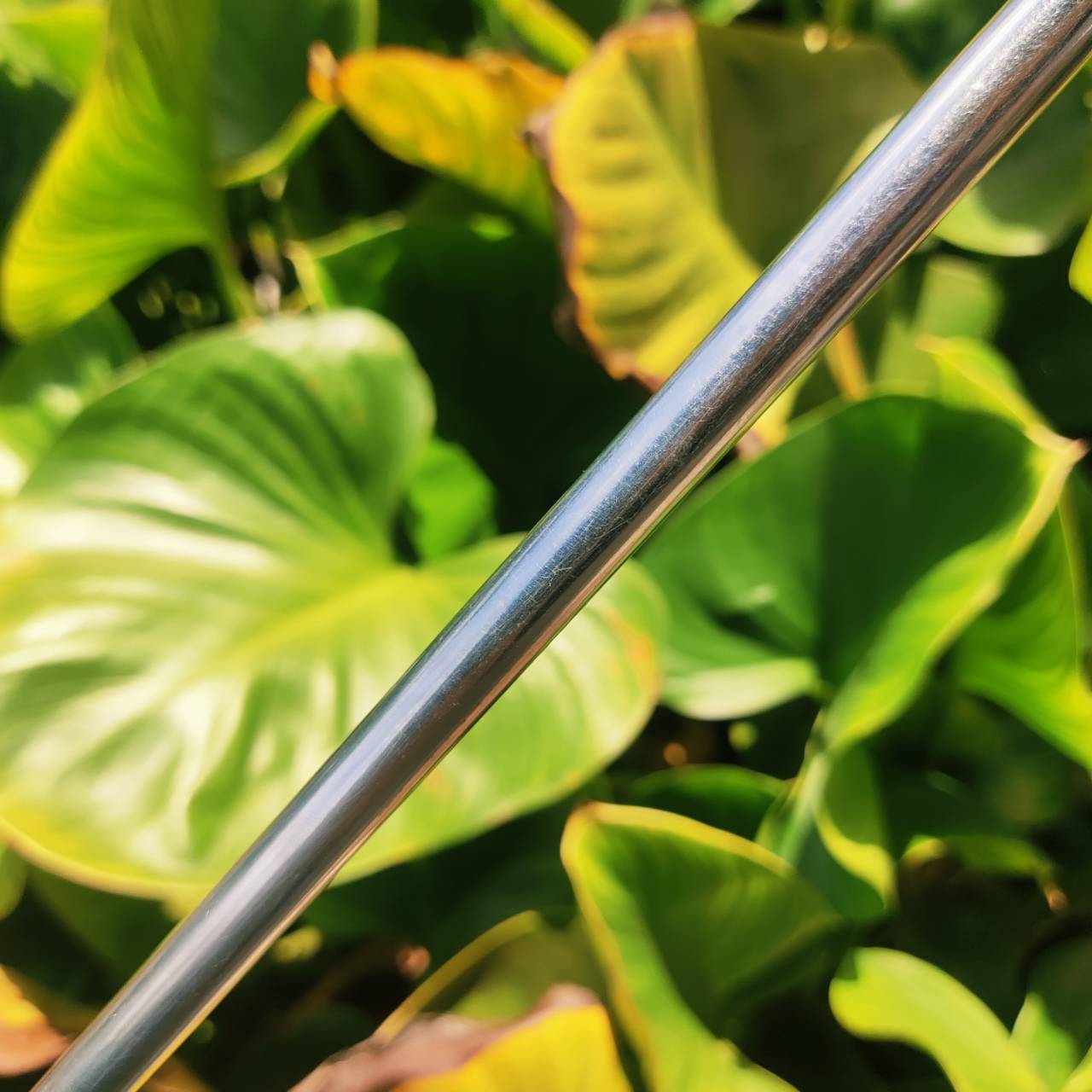 Putter PING ZING ทองเหลือง (Brass) ให้ฟีลลิ่งนุ่ม และเสียงตีชัดเจน