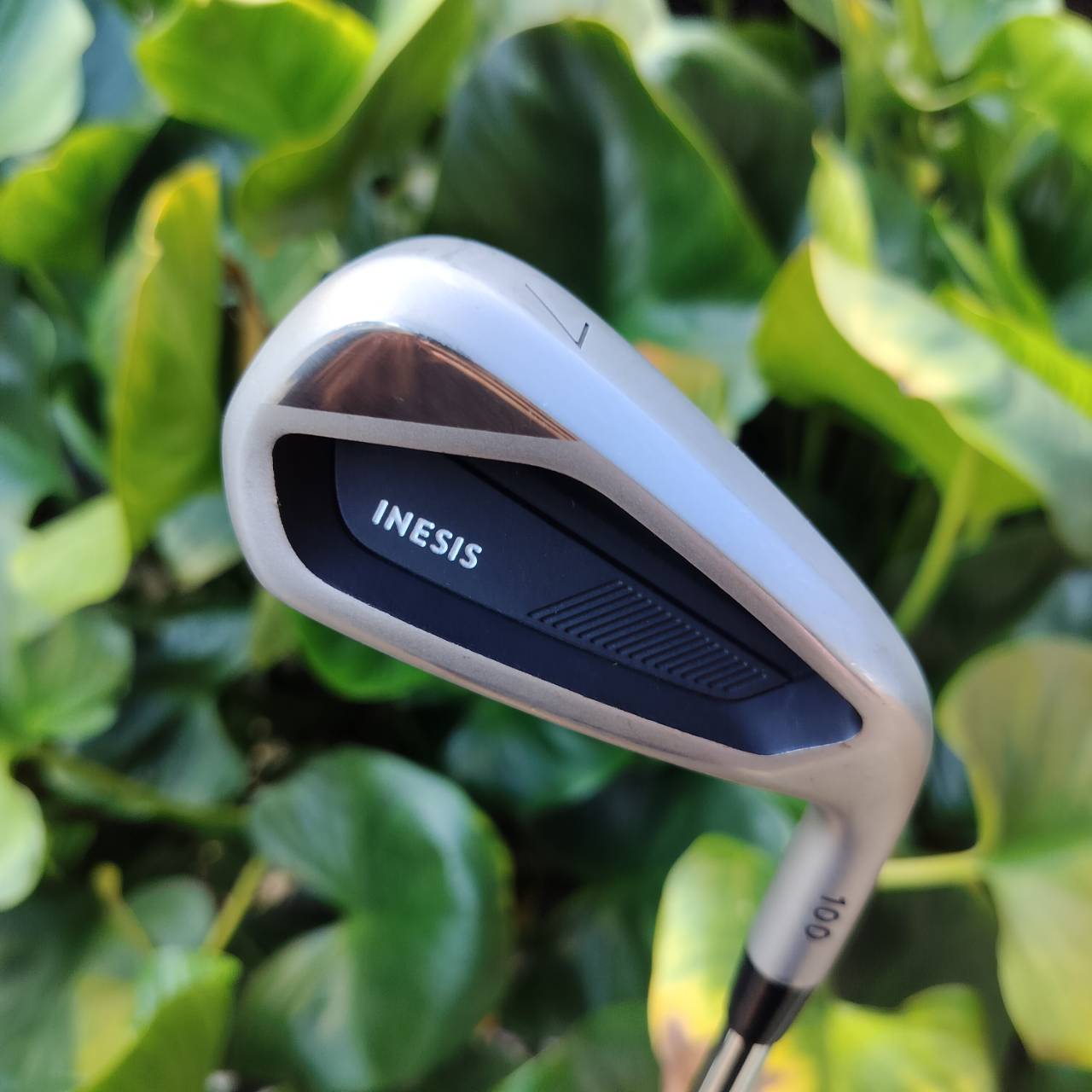 ไม้เหล็ก 7 รุ่น INESIS 100 จาก Decathlon เป็นตัวเลือกยอดนิยมสำหรับนักกอล์ฟมือใหม่ ไม้กอล์ฟพรีเมี่ยมมือสอง ของแท้ By NakaraLuxurious