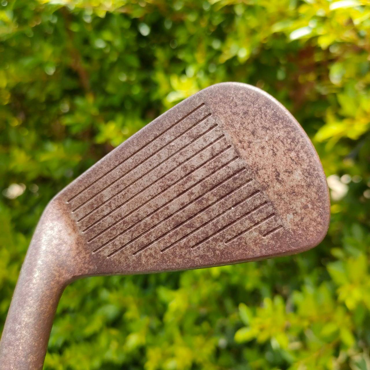 ชุดเหล็ก MIZUNO MP -5 มีเหล็ก 4 - 9 เเละ PW ก้าน PROJECT X 6.0 เหล็ก GF FORGED 1025E สุดยอดของสุดยอด FORGEDJAPAN ต้นตำหรับ ดีที่สุด!!! ไม้กอล์ฟมือสอง ของแท้ BY NakaraLuxurious